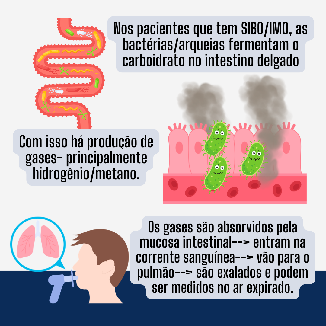 Mecanismo do teste respiratório para SIBO e IMO com hidrogênio e metano